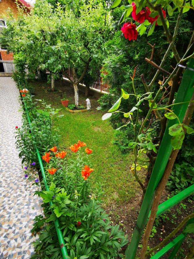 Pensiunea Eden Curtea de Argeş Eksteriør bilde
